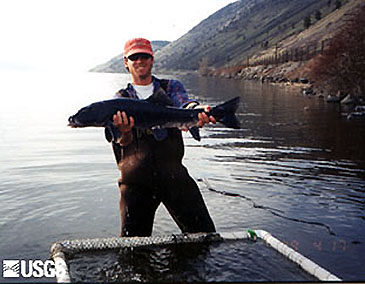 Record photograph for Deltistes luxatus